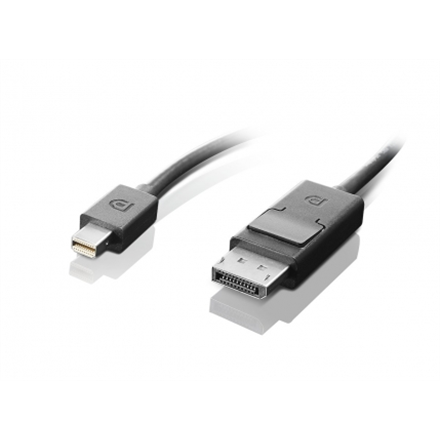 Lenovo mini-DisplayPort to DisplayPort  Black