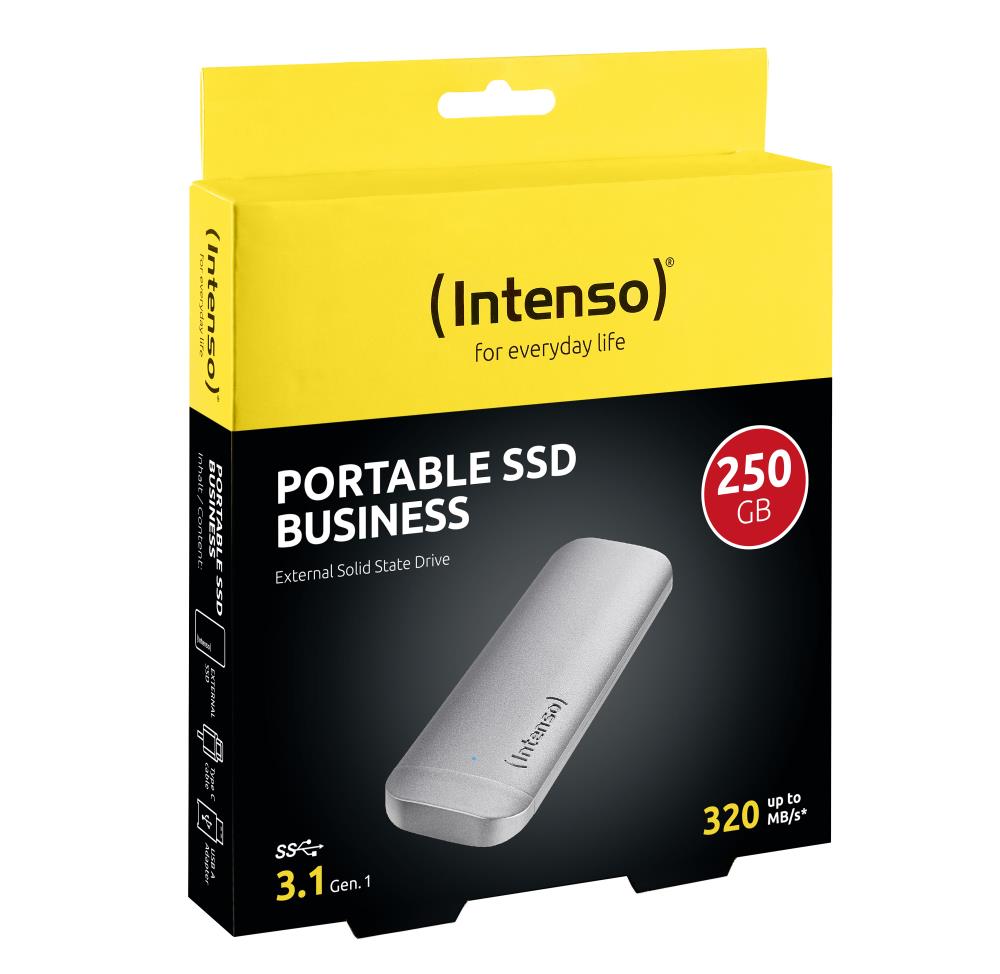 INTENSO 250GB USB-C Proprietary