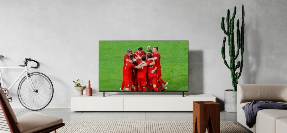 PANASONIC 65" 4K/Smart 3840x2160