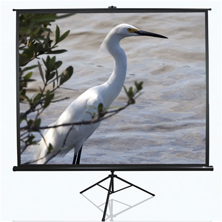 Elite Screens Tripod Series T120NWV1 Diagonal 120" Diagonal Viewing Size (96.0"W x 72.0"H) "