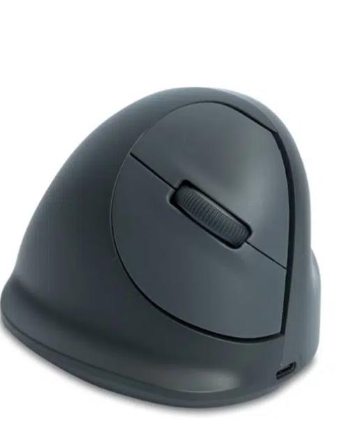 MOUSE USB OPTICAL WRL BASIC/R. GREY RGOHEBAMRWL R-GO TOOLS