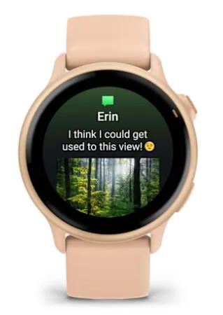 SMARTWATCH VIVOACTIVE 6/PINK DAWN 010-02985-03 GARMIN