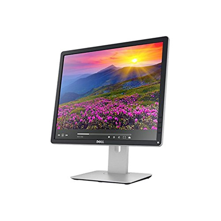 Dell Professional P1917S 19 "