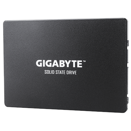 Gigabyte GP-GSTFS31100TNTD 1000 GB