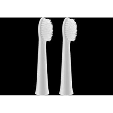 Panasonic Brush Head WEW0972W503 Heads