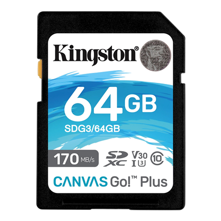 Kingston Canvas Go! Plus 64 GB