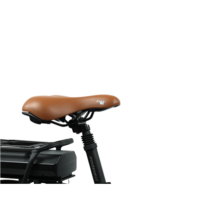 Blaupunkt Folding E-bike FRANZI 500