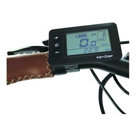 Blaupunkt Folding E-bike FRANZI 500