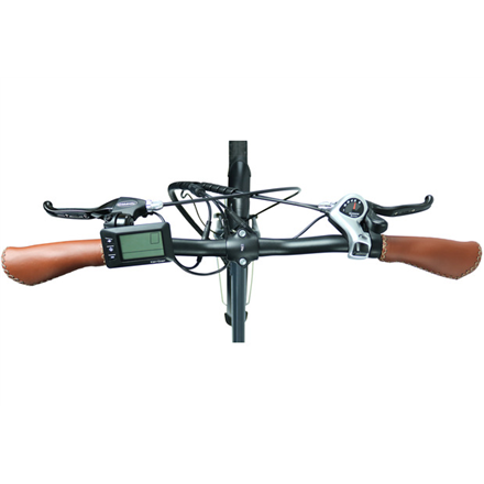 Blaupunkt Folding E-bike FRANZI 500