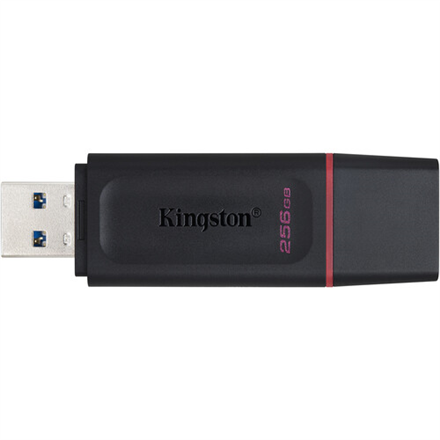 Kingston USB Flash Drive DataTraveler Exodia 256 GB