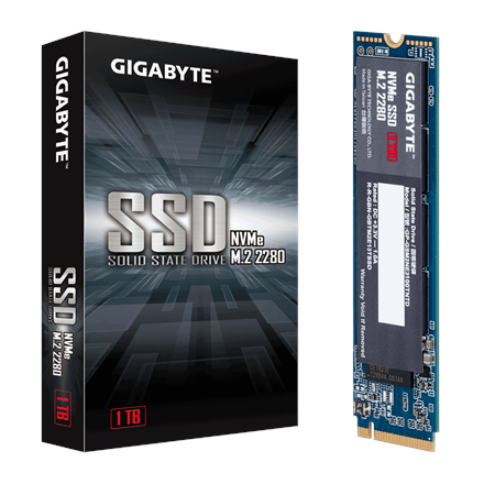Gigabyte SSD GP-GSM2NE3100TNTD	 1000 GB