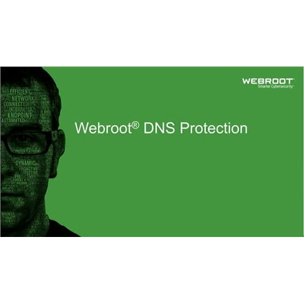 Webroot DNS Protection with GSM Console