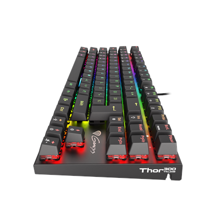 Genesis THOR 300 TKL RGB Gaming keyboard