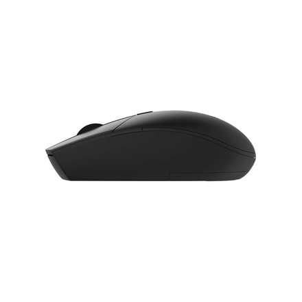 Acme Wireless Mouse MW20