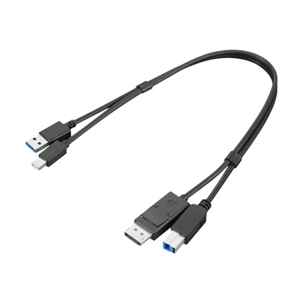 Lenovo ThinkStation mDP + USB-A 3.0 to DP + USB-B 3.0 Dual Head Cable 0.43 m