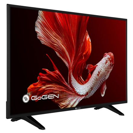 GoGen LED TV GOGTVH32P181T 32" (80 cm)