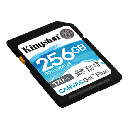 Kingston Canvas Go! Plus 256 GB