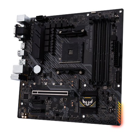 Asus TUF GAMING A520M-PLUS Processor family  AMD