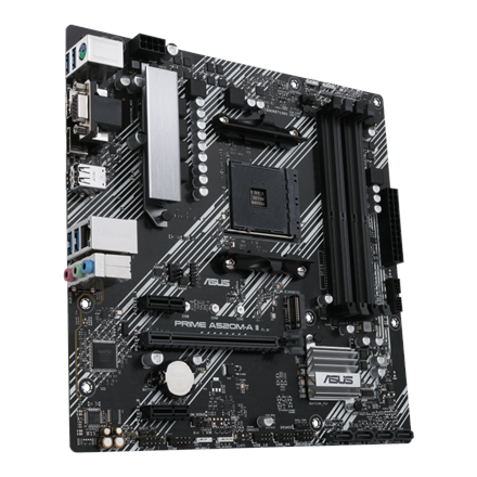 Asus PRIME A520M-A II Processor family AMD