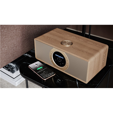 Sharp DR-I470(BR)PRO Stereo Internet Radio