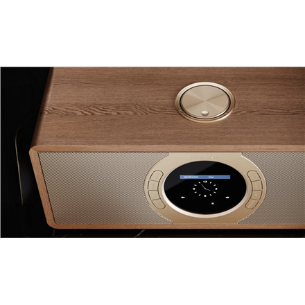 Sharp DR-I470(BR)PRO Stereo Internet Radio