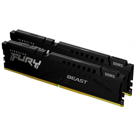 Kingston Fury Beast 32 GB