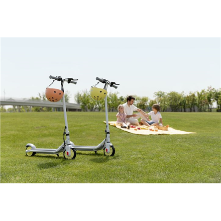 Segway Ninebot eKickscooter ZING C10