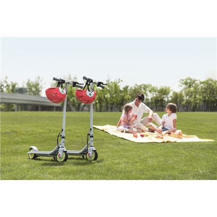 Segway Ninebot eKickscooter ZING C10