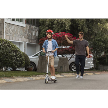 Segway Ninebot eKickscooter ZING C10