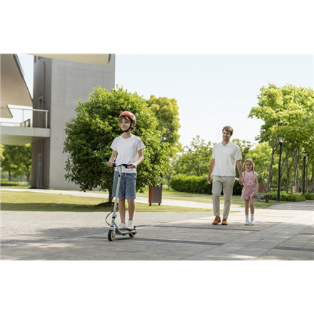 Segway Ninebot eKickscooter ZING C10