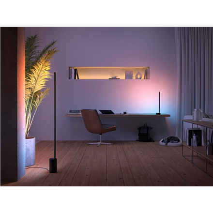 Philips Hue Gradient Signe floor lamp