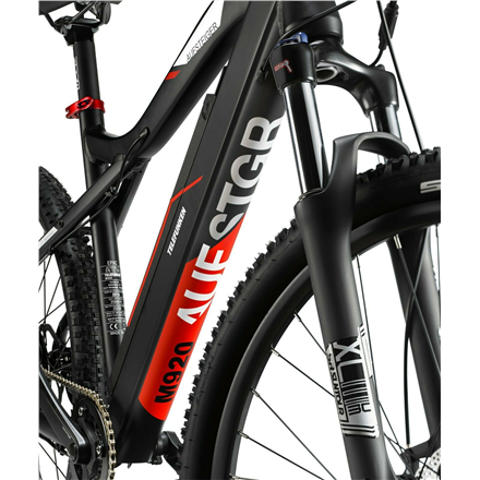 Telefunken Aufsteiger M920