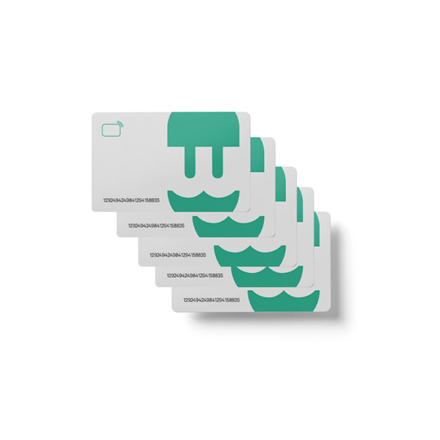 Wallbox Pack 10 RFID Card