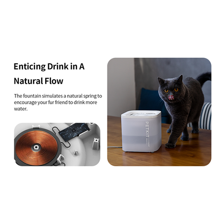 PETKIT Drinking Fountain Eversweet Solo SE Capacity 1.8 L