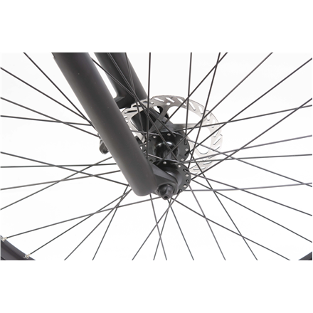 Telefunken MTB E-Bike Aufsteiger M922 29 " 24 month(s) Blue