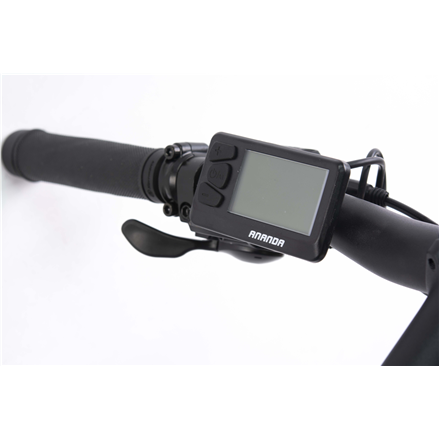 Telefunken MTB E-Bike Aufsteiger M922 29 " 24 month(s) Blue