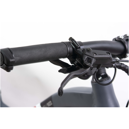 Telefunken MTB E-Bike Aufsteiger M922