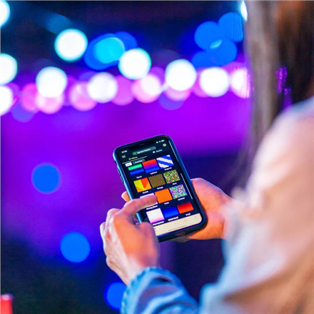 Twinkly Festoon Smart LED Lights 20 RGB (Multicolor) G45 bulbs