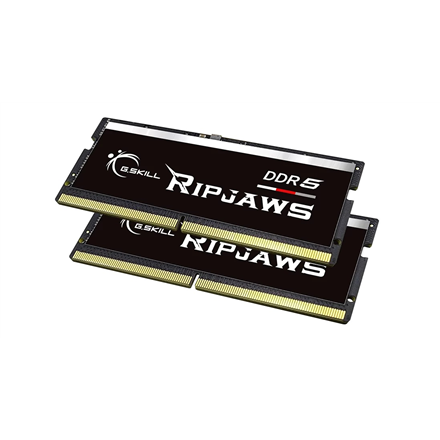 G.Skill Ripjaws   64GB (32GBx2) GB