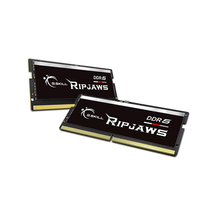 G.Skill Ripjaws   64GB (32GBx2) GB