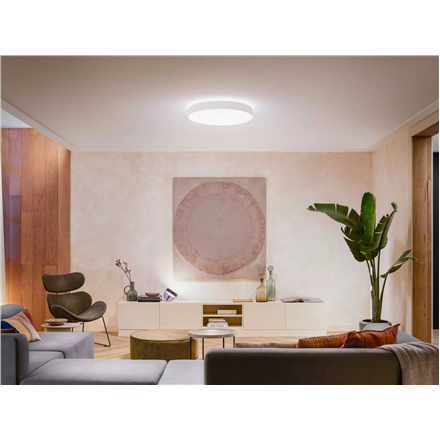Philips Hue Enrave XL ceiling lamp white Philips Hue Enrave XL ceiling lamp white 48 W  White Ambian