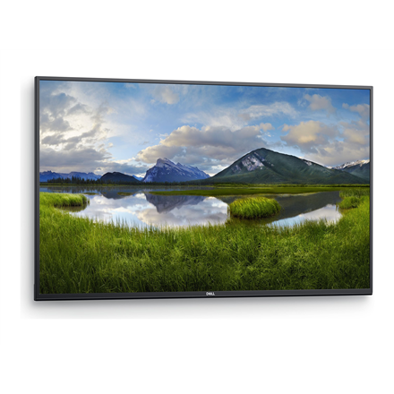 Dell LCD P5524Q 55" VA UHD/3840x2160/DP