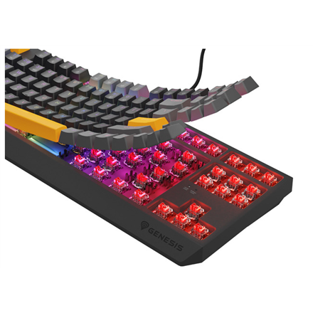 THOR 230 | Mechanical Gaming Keyboard | Wired | US | Anchor Gray Positive | USB Type-A | Outemu Red