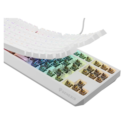 THOR 230 | Mechanical Gaming Keyboard | Wired | US | White | USB Type-A | Outemu Brown