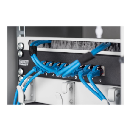 Digitus Wall-mounted housing 254 mm (10") | DN-10-09U | Grey | 31.2 x 30 cm