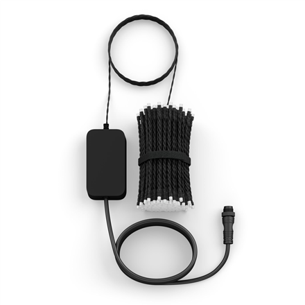 Philips Hue Festavia string lights 250 LED