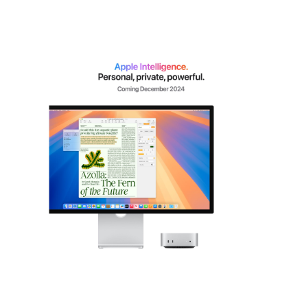 Apple Mac | Mini | Desktop | Apple M4 | Internal memory 24 GB | Solid-state drive capacity 512 GB | 