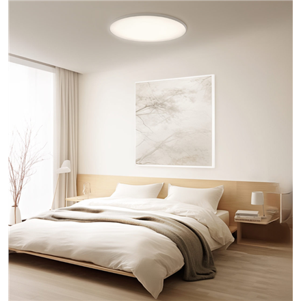 Xiaomi Smart Ceiling Light D30 | 30 W