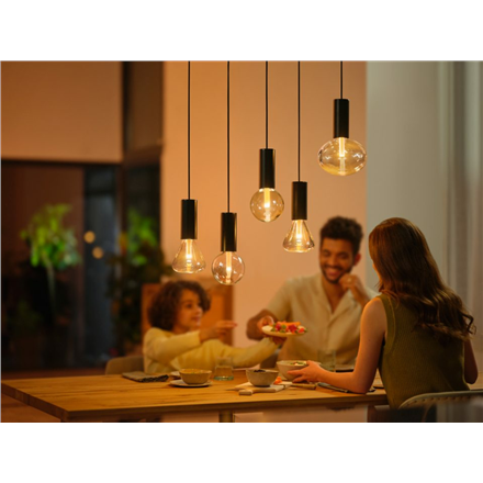 Philips Hue WCA Lightguide G125 | E27 | 6.8 W | White and colour light