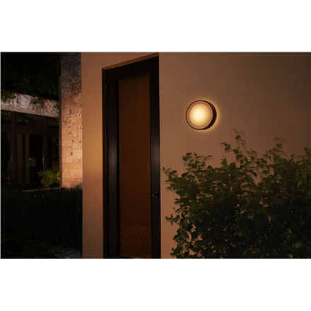 Philips Hue WCA Daylo Outdoor Wall Lantern